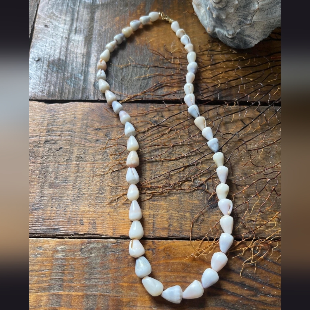 Elegant Hawaii Cone Shell Lei Necklace 18" + Gold Filled